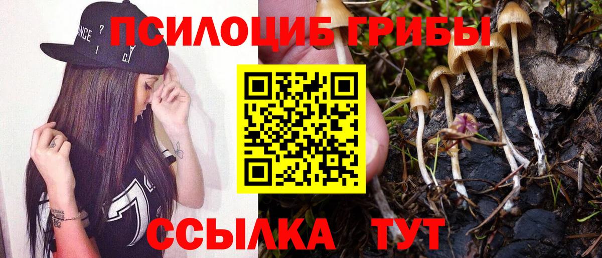 Михайловск  что такое наркотик  Вход с VPN  Галлюциногенные грибы MAGIC MUSHROOMS 